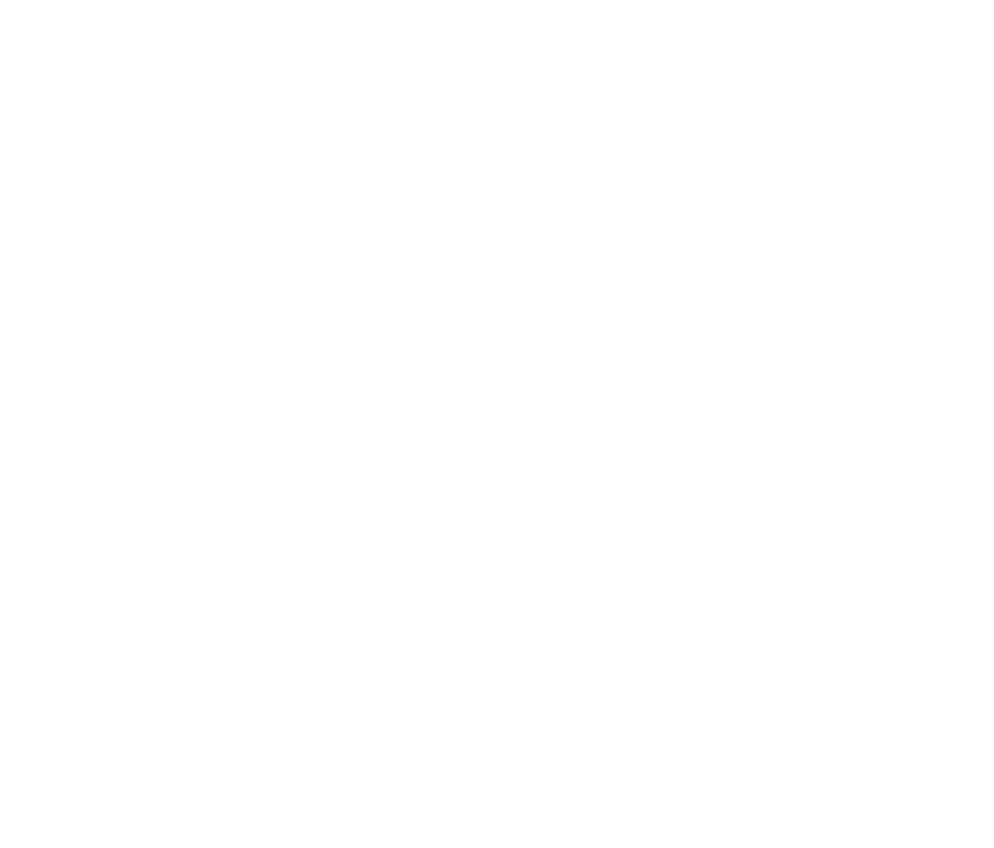 BlackWynd Logo
